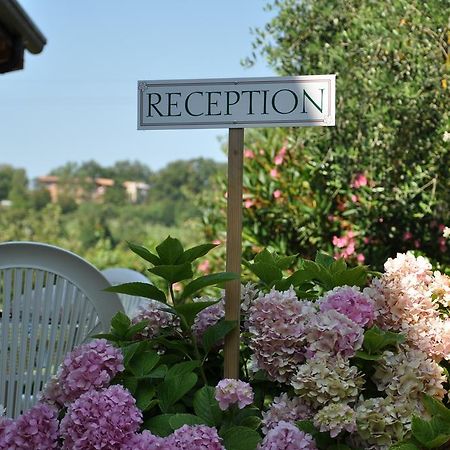 Agriturismo Ai Ciliegi Bardolino Ngoại thất bức ảnh