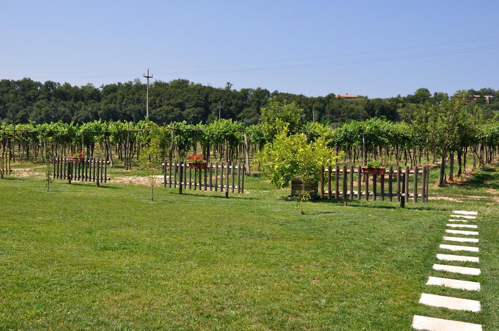 Agriturismo Ai Ciliegi Bardolino Ngoại thất bức ảnh